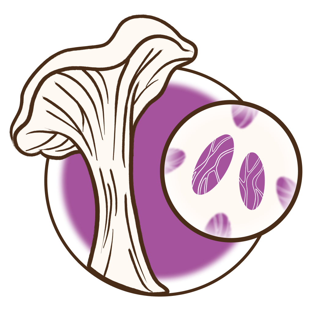 Logo SMMA